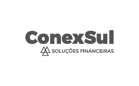 logo-conexsul